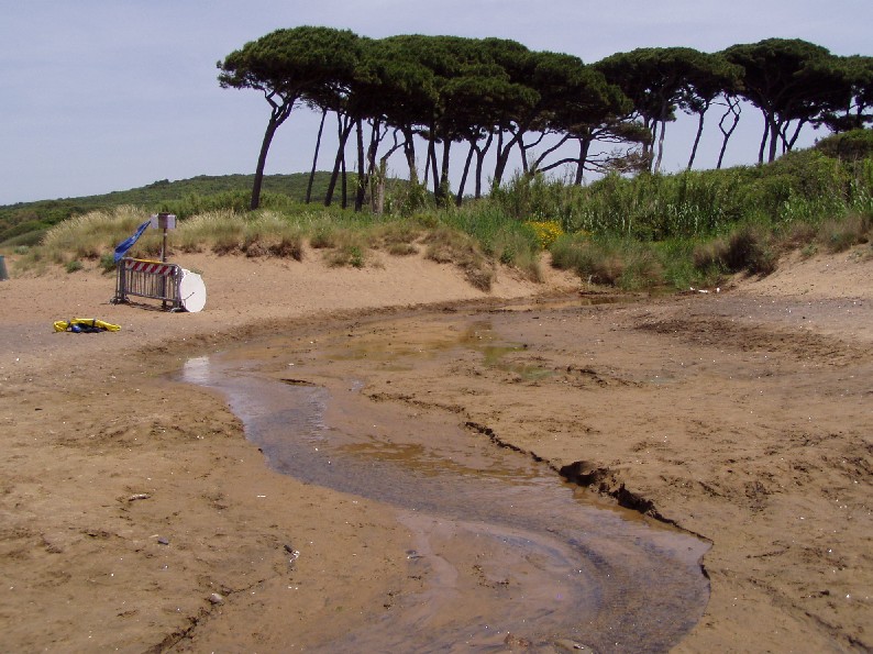 I fossi e lo stagno di Baratti (Piombino - LI)